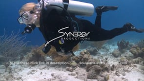 2108 scuba diver observes coral reef