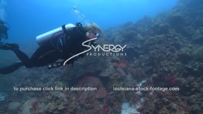 2110 scuba diver studies reef for climate change global warming