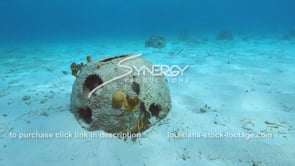 2202 reef ball coral reef restoration video