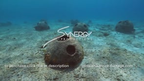 2213 nice swim around artificial reef balls reef habitat creation